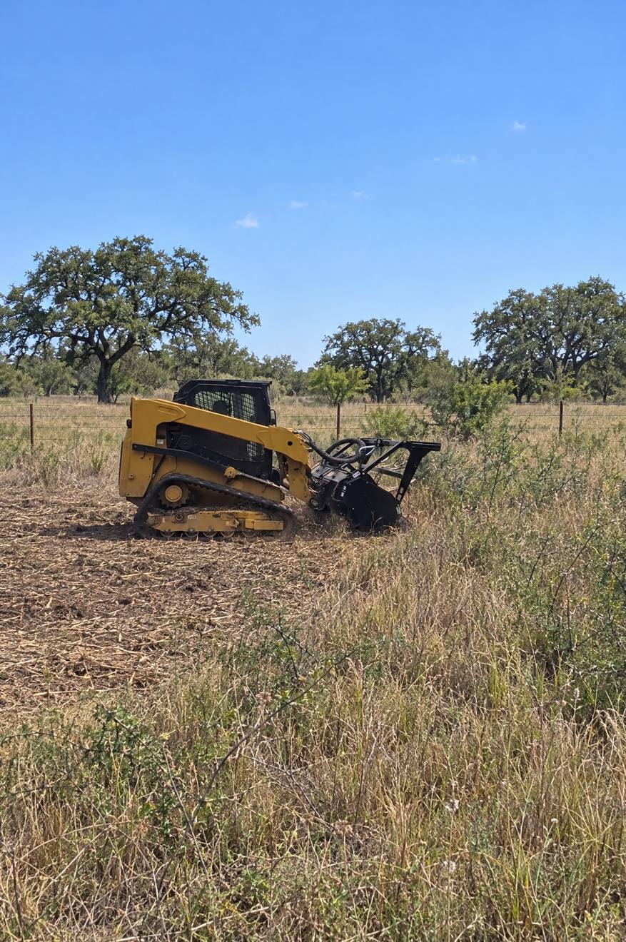 A tracked skid steer cutting down a grown-up pasture of tall grass and mesquite