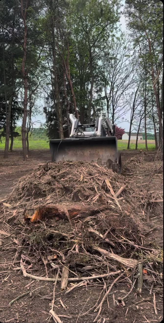 A skid steer working a pile of downed limbs and brush